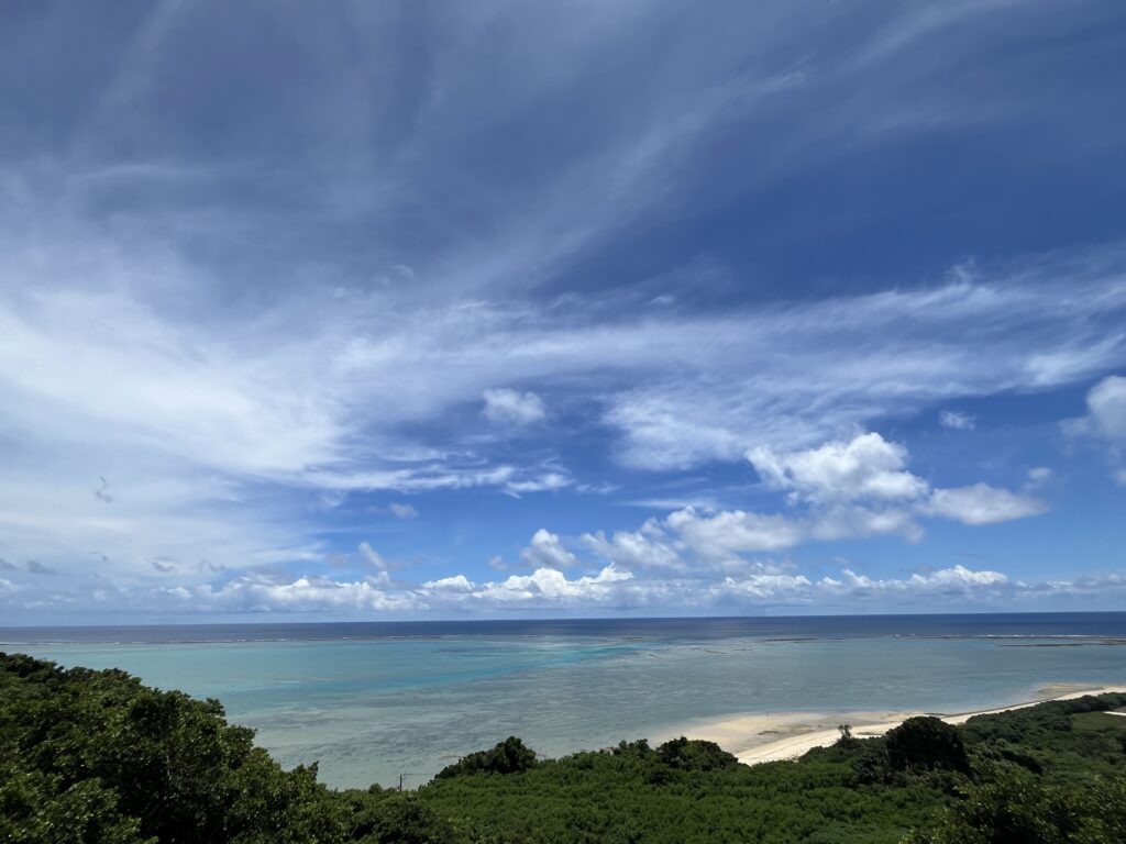 夏も本番ですね~🌞🌀