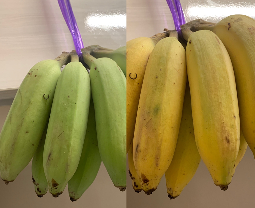 9月に入りましたね🍂