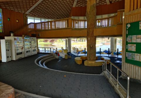 県総合運動公園に行ってきました