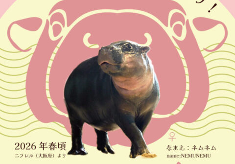 ゴールデンウィークのご予定は？