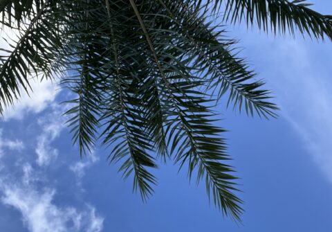 台風が去った後に～日頃の備えと心身のケアを～