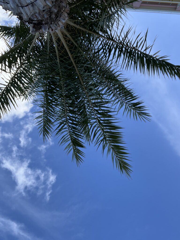 台風が去った後に～日頃の備えと心身のケアを～